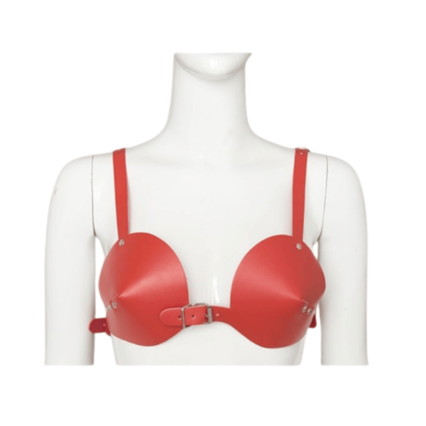 Red Sexy PU Bra Red Sexy PU Bra