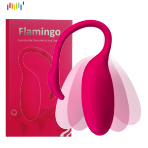 Flamingo APP Controlled Egg Vibrator - Image 3