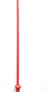 Red & Black Whip - Riding Crop - Image 6