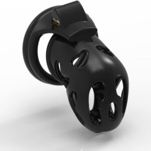 BDSM Chastity Cage