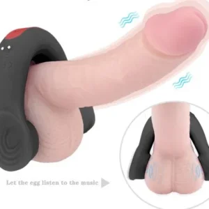 HarmonyJoy Dual-Action Vibrator and Cock Ring - Image 7