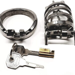 Seductive Male Chastity Cage - Image 4