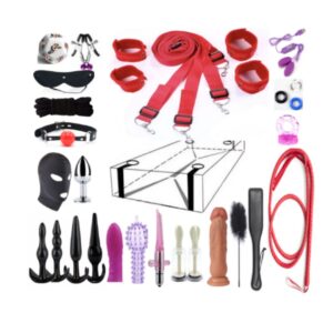 BDSM Essentials 23-Piece Starter Set – Nylon, PU, Metal, and Leather Whip, colors Pink, Red, Black, Intimacy and Pleasure - Image 3