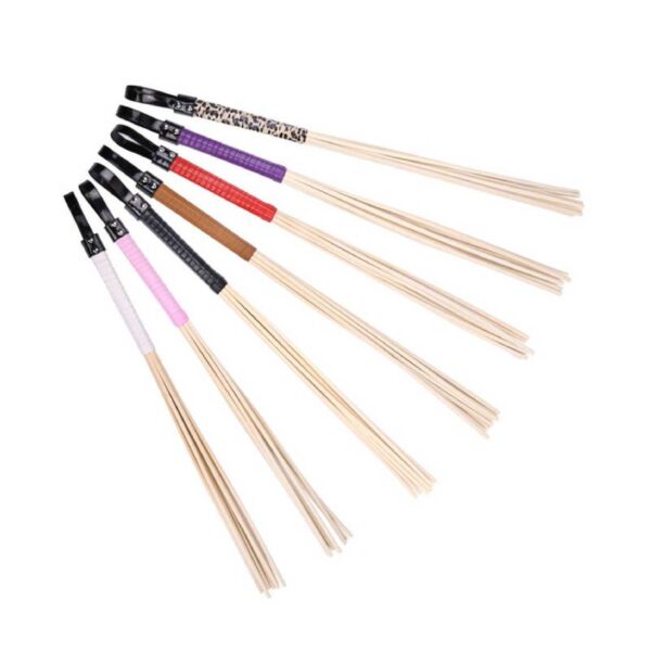 Cane-whip-1-1-1-1-1.jpg