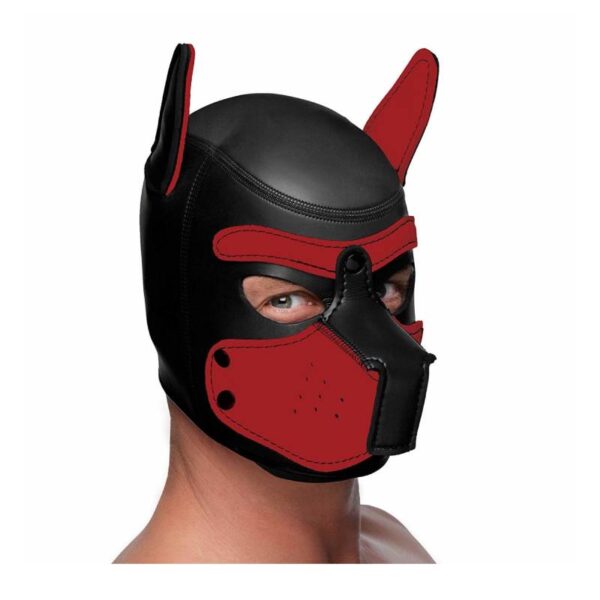 Neoprene-Puppy-Hoods-1-1-1-1-1-1-1.jpg