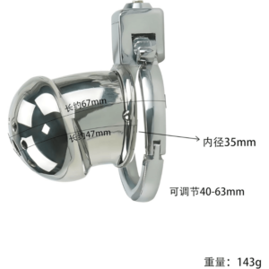 Passion Prison Chastity Lock - Image 3