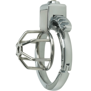 Sanctity Shield Chastity Lock