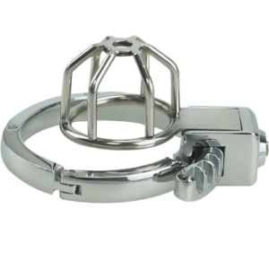 Sanctity Shield Chastity Lock - Image 3