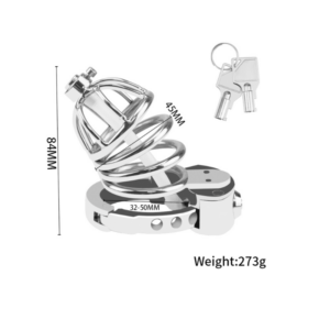 Fortress Lock Chastity Cage