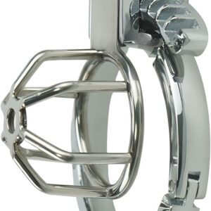 Sanctity Shield Chastity Lock - Image 4